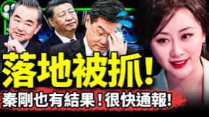 秦刚被免去中国外交部部长职务