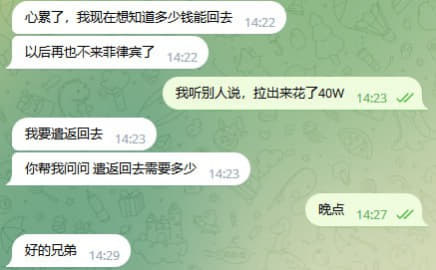 网友提问：菲律宾旅游签续签超期，今年被拉黑blo，现在想回国需要怎么弄...