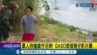 诈骗盘口都不要台湾人了？中国人身价水涨船高？】