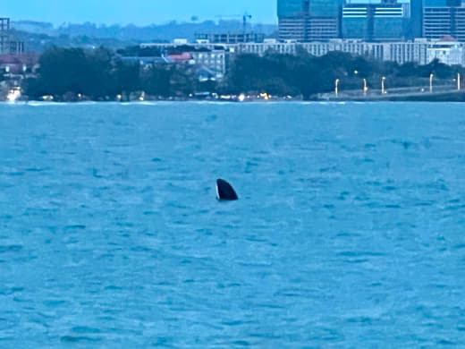 今天傍晚6点左右，3个中国人在西港奥彻迭海滩海上玩摩托艇，因技术不佳在...